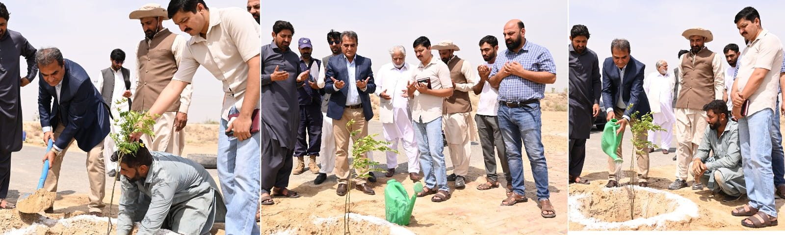 CUVAS campus during the university afforestation drive